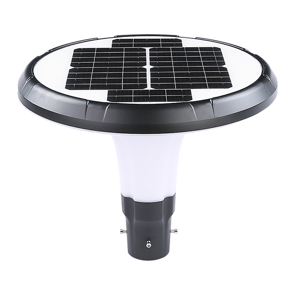 Purple Jasmine garden light